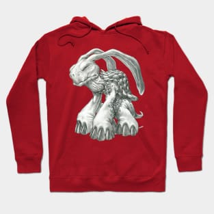 The Malaysian Rabbit-Eared Tortoise Hoodie